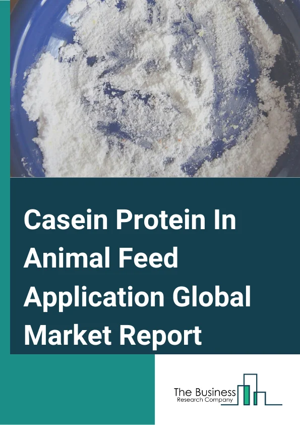 Casein Protein In Animal Feed Application Global Market Report 2025 – By Type (Sheep-Milk Caseins, Cow-Milk Caseins, Other Types), By Function (Stabilizing, Emulsification, Foaming, Other Functions), By Applications (Food Production, Nutritional Supplements, Cosmetics, Pharmaceutical, Beverage, Other Applications) – Market Size, Trends, And Global Forecast 2025-2034