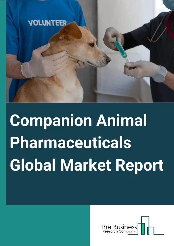 Companion Animal Pharmaceuticals Global Market Report 2025 – By Animal Type (Dogs, Cats, Horses, Other Companion Animals ), By Indication (Infectious Diseases, Dermatologic Diseases, Pain, Orthopedic Diseases, Behavioral Diseases, Other Indications ), By Distribution Channels (Veterinary Hospitals, Veterinary Clinics, Retail Pharmacies ) – Market Size, Trends, And Global Forecast 2025-2034